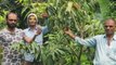 Bihar में भी हो रही दुनिया के सबसे महंगे आम की खेती,अंतर्राष्ट्रीय बाज़ारों में 2 लाख रुपए तक है दाम