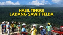 Mekanisasi dan penglibatan belia bantu tingkatkan hasil ladang sawit FELDA