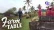 Go sightseeing in these picturesque farms! | Farm To Table