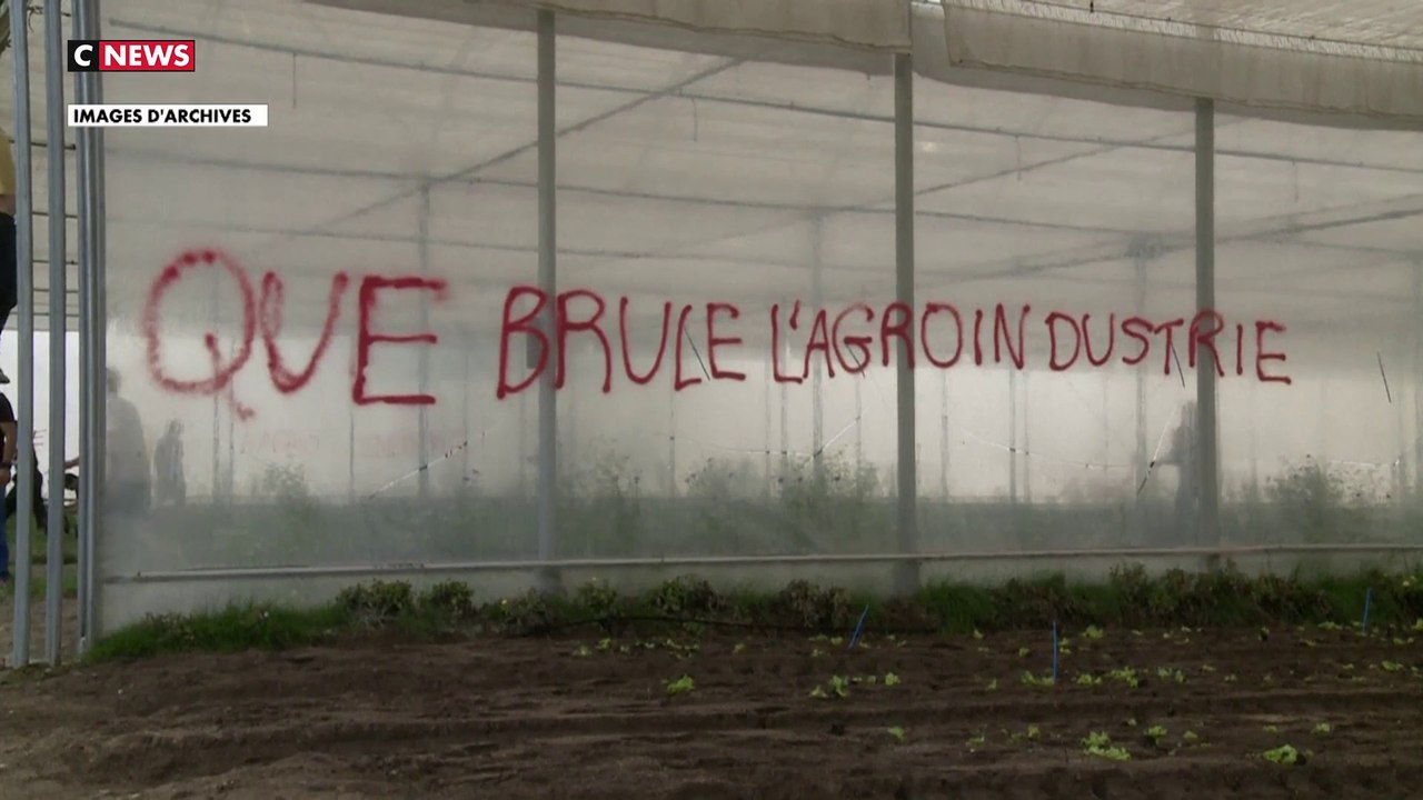 Ecologistes radicaux: les Français exaspérés