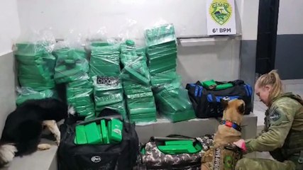 Download Video: Casal é preso transportando 285 kg de maconha no caminhão, na rodovia BR-369