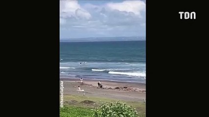 Ces influenceuses semblent nettoyer la plage, mais quand la caméra s'éteint, c'est tout autre chose... (vidéo)