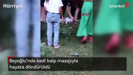 Beyoğlu'nda kedi kalp masajıyla hayata döndü