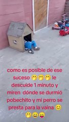 "Fieles bendiciones": Niño se queda dormido tiernamente junto a su perrito