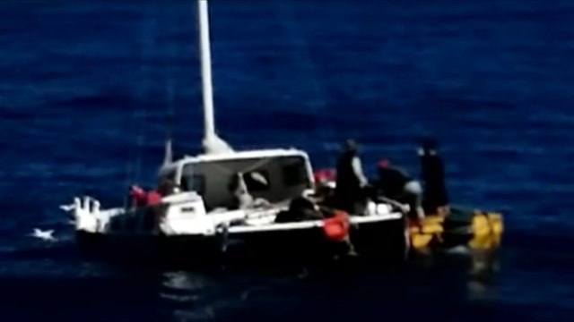 Schiffbrüchiger und Hündin nach zwei Monaten im Pazifik gerettet