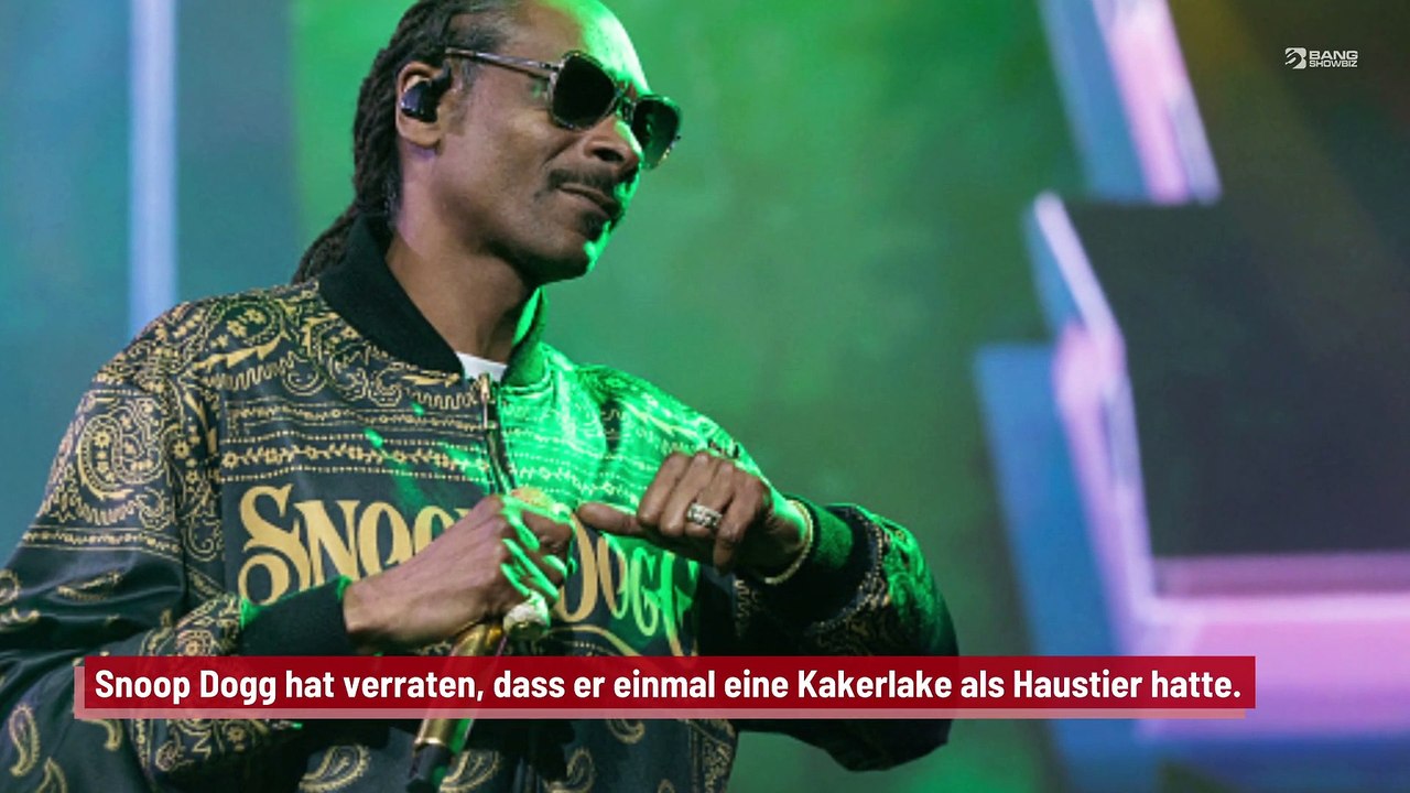 Snoop Dogg: Kakerlake als Haustier