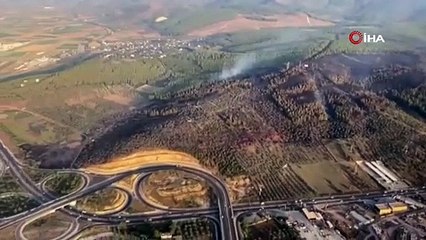 Bodrum'u yakan suç makinesi yakalandı; ifadesi şoke etti