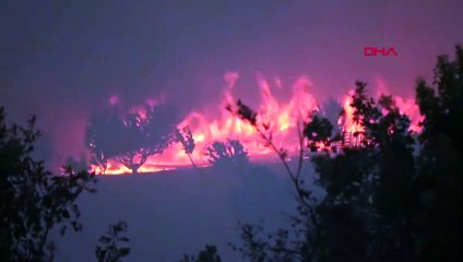 Çanakkale'deki Orman Yangınında Kemel Köyüne Sıçradı