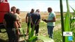 Ukrainian farmers as Russia halts Black Sea grain deal