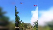 Un incendie s'est déclaré dans la zone forestière de Mersin Mezitli