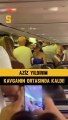 Fenerbahçe eski başkanı Aziz Yıldırım uçakta kavgayı önledi