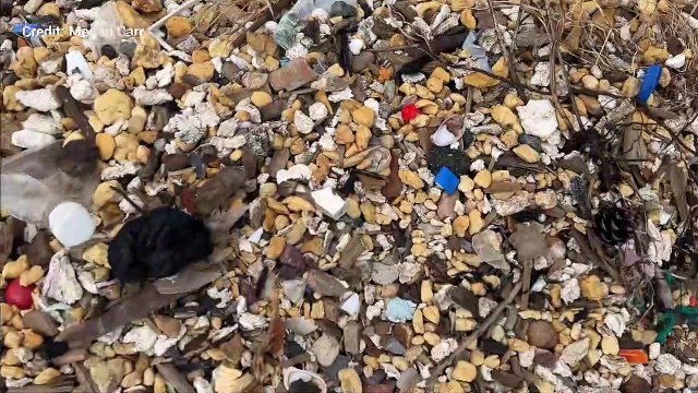 Some of the rubbish on Sheppey's beaches