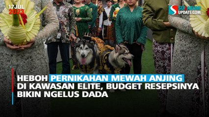 Heboh Pernikahan Mewah Anjing di Kawasan Elite, Budget Resepsinya Bikin Ngelus Dada
