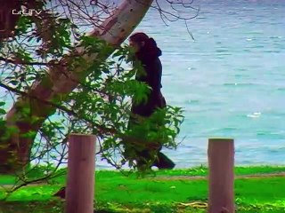 ΜΑΓΝΗΤΙΚΑ ΠΕΔΙΑ (2021) HDTV x264 AC3 part 1/1