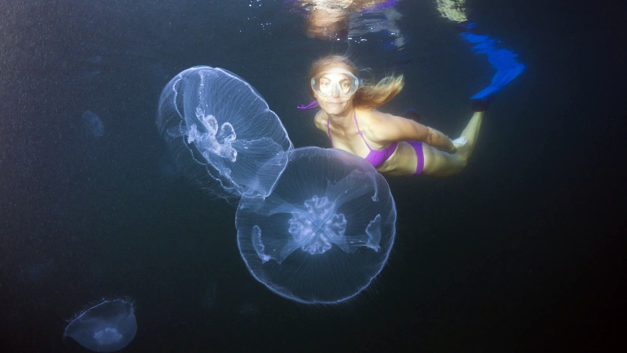 Das muss man bei einem Quallenstich tun!