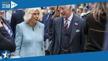 Camilla a 76 ans : ce prestigieux cadeau que la reine pourrait se voir offrir