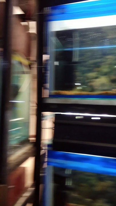 Kanan Pendari Aquarium