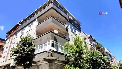 İstanbul'da evlere giren yarasalar paniğe neden oldu