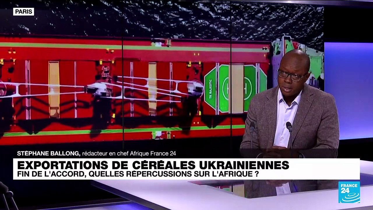 Céréales ukrainiennes : fin de l'accord, quelles répercussions sur l'Afrique ?