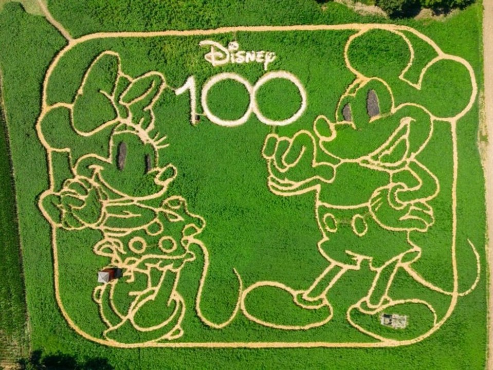 Zum disney-jubiläum: bayerisches labyrinth feiert micky maus