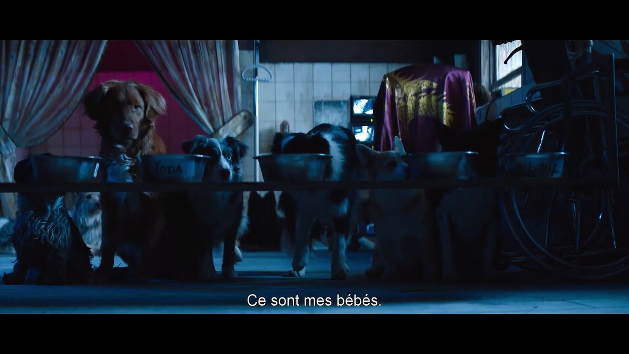 Dogman - Trailer