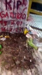RIP: así es la tumba de Gaturro en el Paseo de la historieta