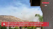 California’da orman yangını: 3 bin 400 hektar alan yandı