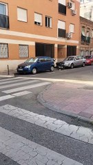 V A N E S S A MARICRÓNICA: La diferencia entre ella y la poesía es que el poema se deja corregir y ella no