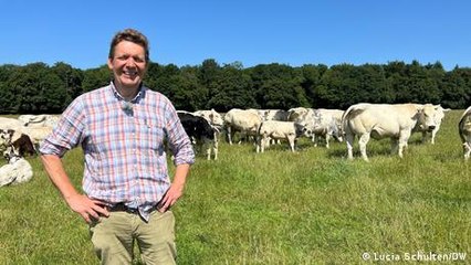 EU-Mercosur trade deal: A tale of two cattle breeders