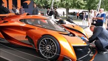 Goodwood Festival of Speed: Our Sussex columnist enjoys two days of fast and furious action