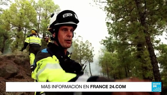 Incendio forestal en isla de La Palma ha consumido más de 4.650 hectáreas