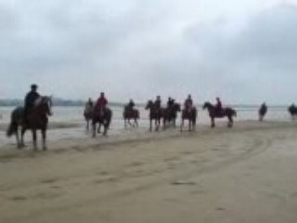 equi trait jeune 2007