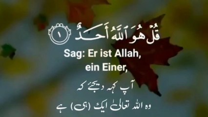 Surah Al Ikhlas_quran urdu whatsapp status _ urdu islamic whatsapp status _ Qura