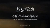 Surah Al Hijr _ Ayah 22 _ Quran whatsapp status with urdu translation by Qari Mo