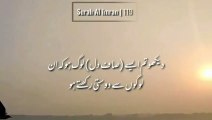Surah Al Imran _ Ayah 119 _ Quran Whatsapp status with urdu Translation