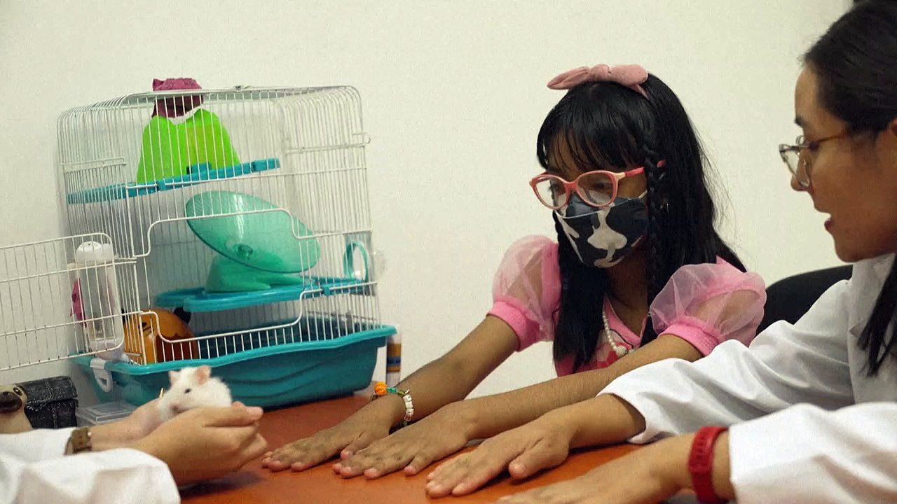 Animals become healing companions in Mexico hospital