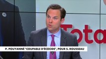Louis de Raguenel : «Des écologistes, un peu ultras en France, sont les alliés objectifs de concurrents de Total»