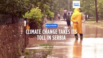 Climate change takes its toll in Serbia as crops suffer after extreme heat follows flooding