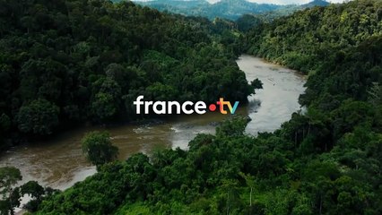 [BA] Au bout c’est la mer - Le fleuve Kapuas - 02/08/2023