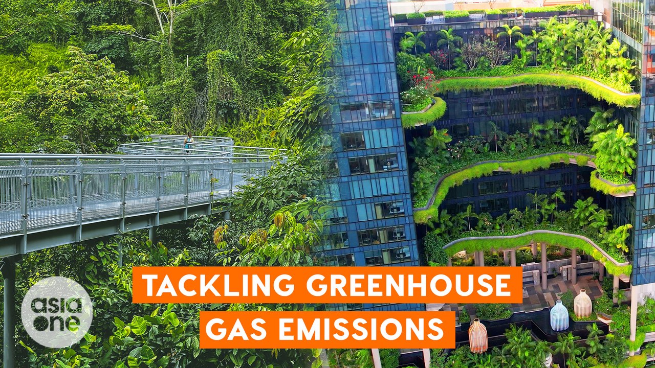 Reducing greenhouse gas emissions with greenery | TLDR