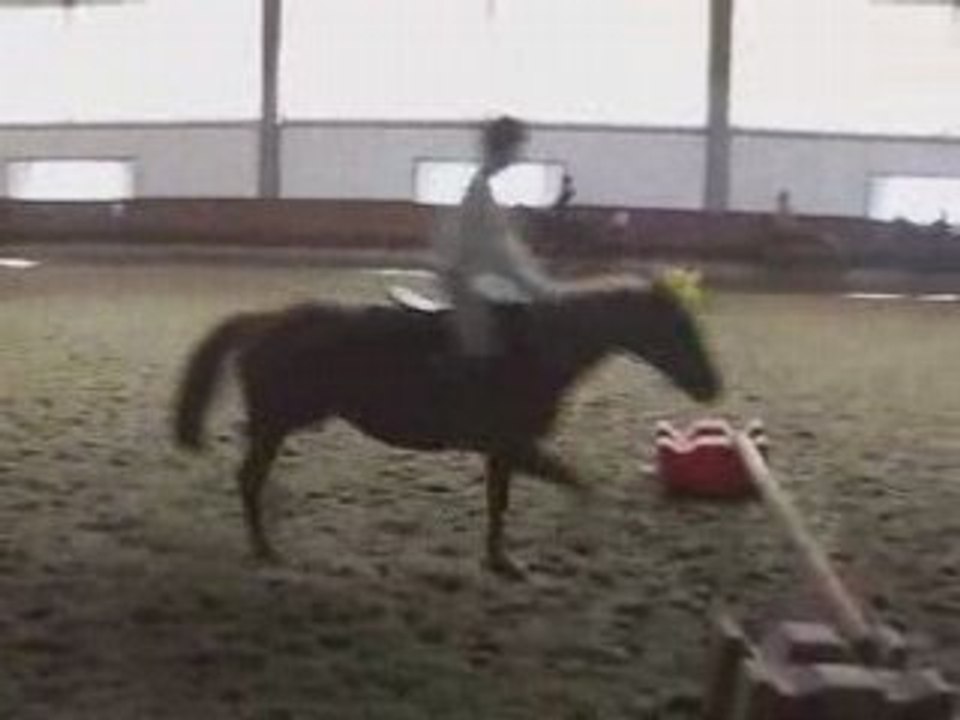 Jonquille Saut