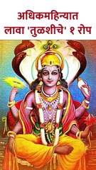 अधिकमहिन्यात लावा 'तुळशीचे' १ रोप Benefits of Tulsi plant in Adhik Maas | SG5