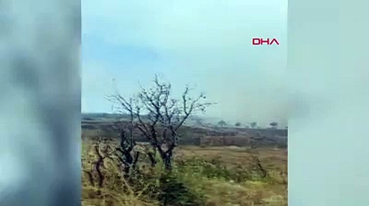Muğla'da bir orman yangını daha