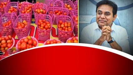 KTR Birthday నాడు Tomato బుట్టలు పంచిన BRS Leader రాజనాల శ్రీహరి | Telugu OneIndia