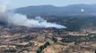 Muğla'nın Milas ilçesinde orman yangını çıktı