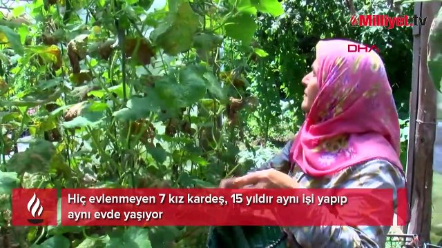 Hiç evlenmeyen 7 kız kardeş, 15 yıldır aynı işi yapıp aynı evde yaşıyor