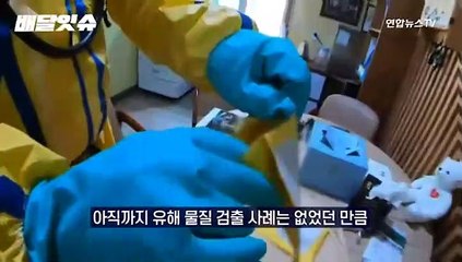 [배달잇슈] 전 국민을 떨게 한 그 소포..'브러싱 스캠'? 그게 뭐길래