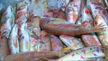 İzmir'de Trol Avcılığıyla Balık Fiyatları Düştü