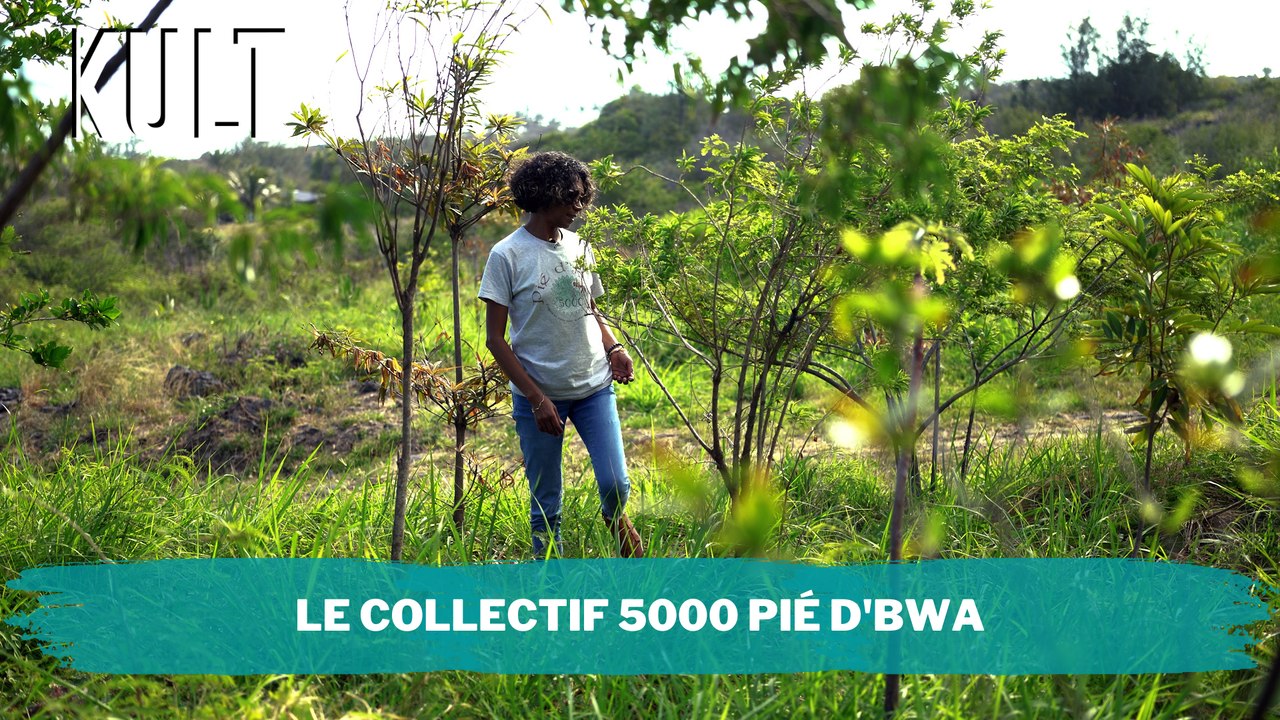 Le collectif 5000 pié dbwa