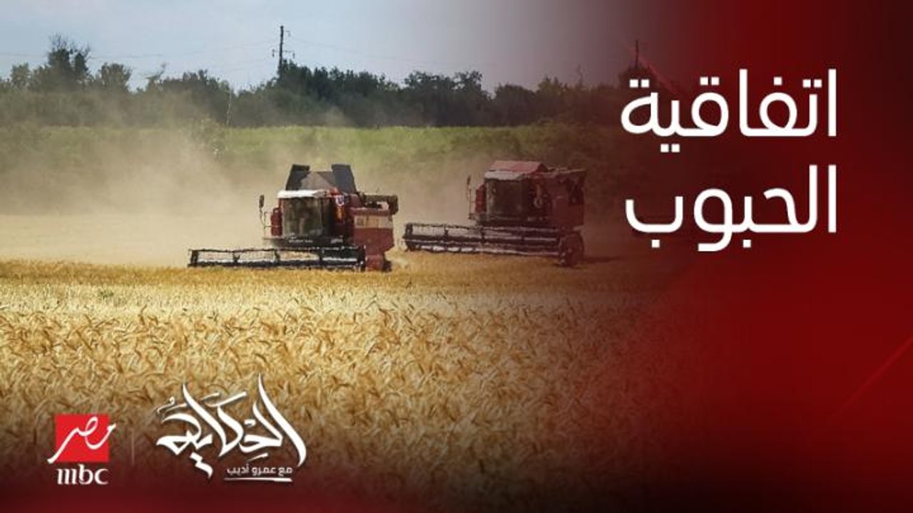 هل انسحاب روسيا من اتفاقية الحبوب هيأثر على مصر في اي حاجة؟ .. د. إبراهيم عشماوي مساعد اول وزير التموين ورئيس جهاز تنمية التجارة الداخلية يوضح